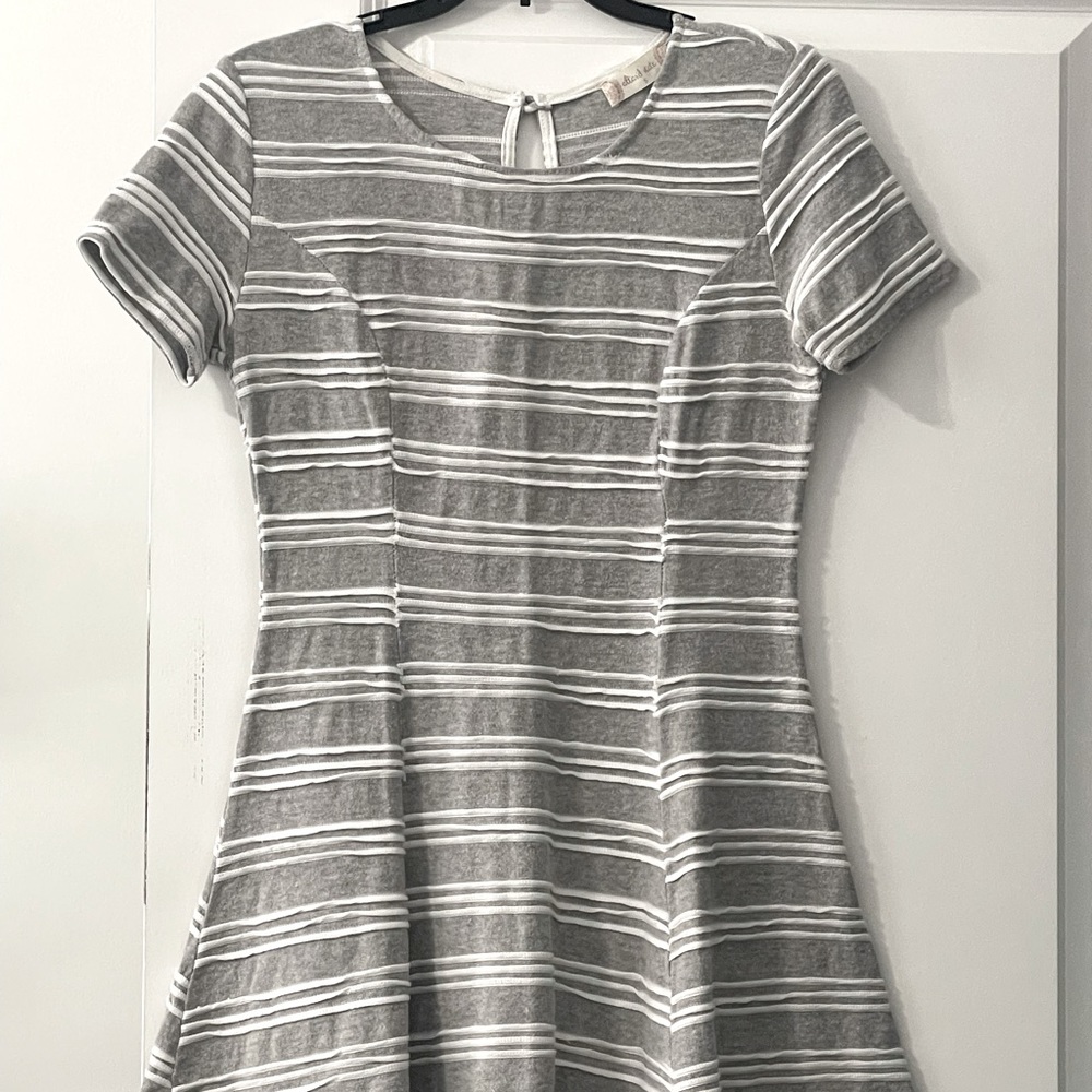 Altar'd State Mini Fit and Flare Mini